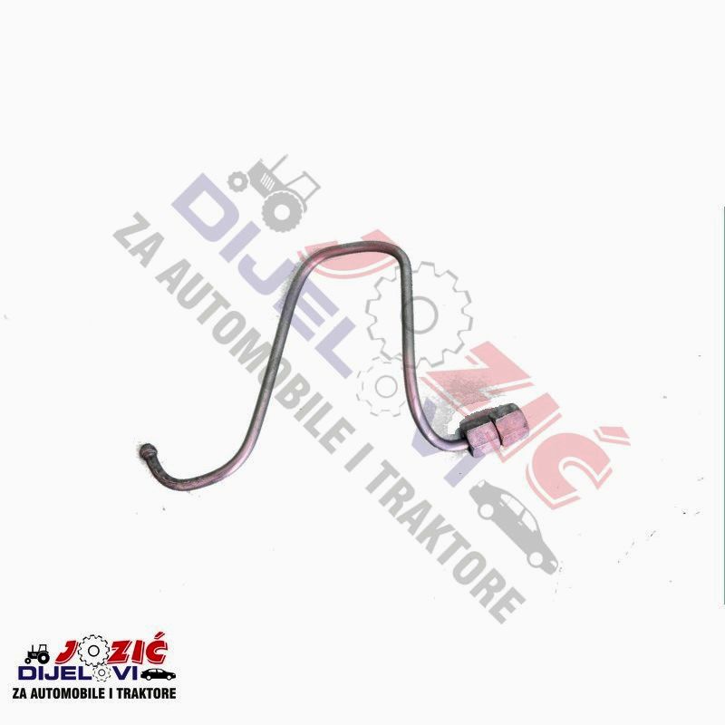 Daisy on the Ohoopee